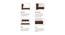 Caliya Primo Upholstery King Bed Without Storage In Brown (Queen Bed Size, Brown Finish) by Urban Ladder - Rear View Design 1 - 725076