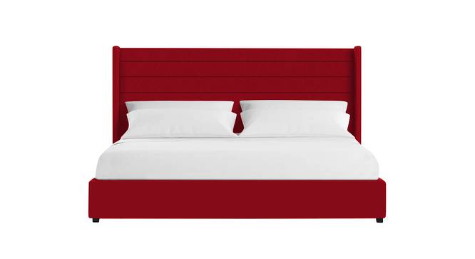 Caliya Primo Upholstery King Bed Without Storage In Maroon (Queen Bed Size, Maroon Finish) by Urban Ladder - Front View Design 1 - 725105