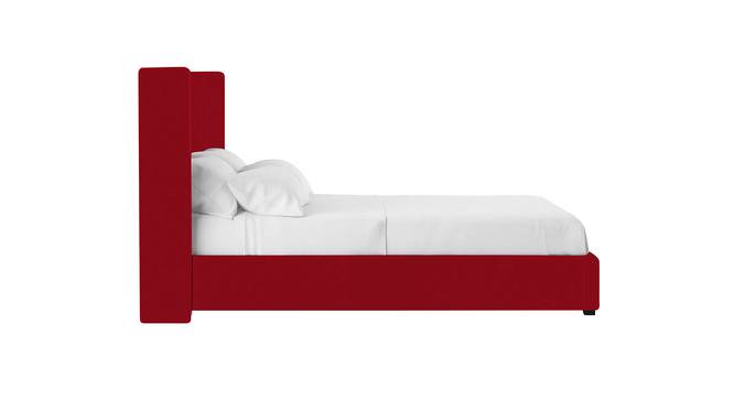 Caliya Primo Upholstery King Bed Without Storage In Maroon (Queen Bed Size, Maroon Finish) by Urban Ladder - Design 1 Side View - 725121