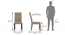 Bennett High Back Dining Chair - Set of 2 Color-Brown (Brown Finish) by Urban Ladder - Dimension - 