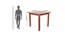 Rubik 4 Seater Solid Wood Dining Set (Walnut Finish) by Urban Ladder - Design 1 Dimension - 725470