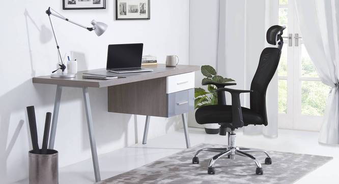 Venturi Study Chair-3 Axis Adjustable (Carbon Black) by Urban Ladder - Full View Design 1 - 72707