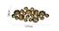 Wall decor side contemporary antique (Gold) by Urban Ladder - Design 1 Dimension - 728737