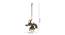 Parrot Hanging Oil Lamp With Bells (Brown) by Urban Ladder - Design 1 Dimension - 728867