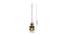 Peacock Hanging Oil Lamp (Brown) by Urban Ladder - Design 1 Dimension - 728869