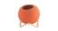 Set of 3 Coloured Ceramic Vases with Golden Stand (Multicoloured) by Urban Ladder - Ground View Design 1 - 729095