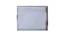 Shells Star Fish Canvas Painting (Multicoloured) by Urban Ladder - Ground View Design 1 - 729239
