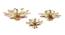 Brass And Copper Dual Tone Diyas (Gold) by Urban Ladder - Design 1 Side View - 729416