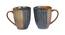 Set of 2 Coffee/ Tea Mug (Grey) by Urban Ladder - Front View Design 1 - 729439