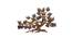 Vibrant birds and trees wall decor (Gold) by Urban Ladder - Design 1 Side View - 729452