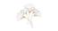 Multi-Finish Iron Wire Wall Decor (Silver) by Urban Ladder - Design 1 Side View - 729472