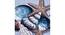 Shells Star Fish Canvas Painting (Multicoloured) by Urban Ladder - Design 1 Side View - 729494