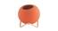 Orange Coloured Ceramic Vase with Golden Stand (Orange) by Urban Ladder - Front View Design 1 - 729634