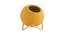 Set of 3 Coloured Ceramic Vases with Golden Stand (Multicoloured) by Urban Ladder - Front View Design 1 - 729636
