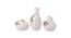 Three White Beautiful and Serene Vases (White) by Urban Ladder - Front View Design 1 - 729643