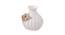 White Beautiful and Serene Vase VAS210382 (White) by Urban Ladder - Front View Design 1 - 729645