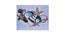 Shells Star Fish Canvas Painting (Multicoloured) by Urban Ladder - Front View Design 1 - 729746