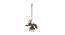 Parrot Hanging Oil Lamp With Bells (Brown) by Urban Ladder - Front View Design 1 - 729777