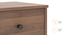 Hazel 2 Drawer Bedside Table - Classic Walnut (Classic Walnut Finish) by Urban Ladder - Zoomed Image - 730599