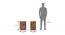 Zephyr Bedside Table (Teak Finish) by Urban Ladder - Dimension - 
