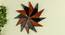 Liam Brown & Black Solid Wood  Wall Clock (Brown & Black) by Urban Ladder - Front View Design 1 - 732194