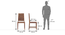 Julian Dining Chair Set of 2 (Finish: Mahogany) (Teak Finish) by Urban Ladder - Dimension - 