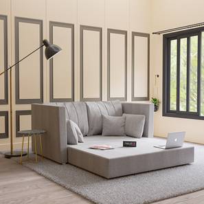 Sofa Cum Bed Design Max 2 Seater Pull Out Sofa cum Bed In Grey Colour