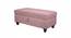 Alexa Ottman with Storage - Pink (Pink) by Urban Ladder - Front View Design 1 - 733928