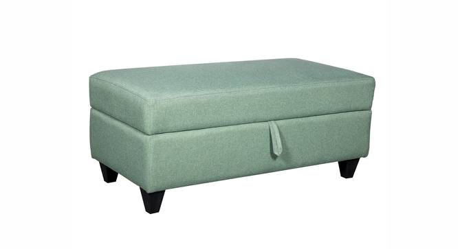 Alexa Ottman with Storage - Omega Green (Green) by Urban Ladder - Front View Design 1 - 733930