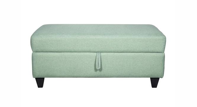 Alexa Ottman with Storage - Omega Green (Green) by Urban Ladder - Design 1 Side View - 733943
