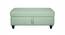 Alexa Ottman with Storage - Omega Green (Green) by Urban Ladder - Design 1 Side View - 733943