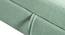 Alexa Ottman with Storage - Omega Green (Green) by Urban Ladder - Rear View Design 1 - 733969