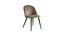 Finch Fox - Happiness is Complimentary Dining Chair-beige (Beige Finish) by Urban Ladder - - 