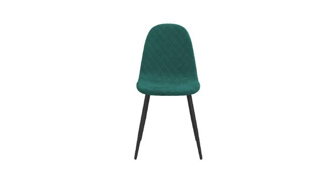 Finch Fox - Happiness is  Complimentary Dining Chair-teal blue (Teal Blue Finish) by Urban Ladder - - 