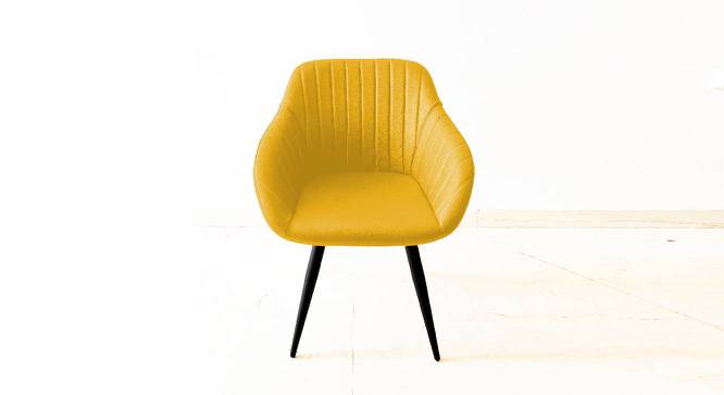 Finch  Fox - Happiness is Complimentary Dining Chair-yellow (Yellow Finish) by Urban Ladder - - 