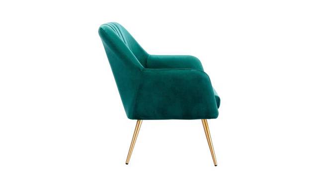 Brodie Accent Chair - Grey (Green) by Urban Ladder - - 