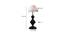 Skye Vintage Off-White Shade Table Lamp With Iron Base (White) by Urban Ladder - Design 1 Dimension - 738143