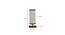 Sienna White And Black Cotton Table Lamp With Brown Wood Base by Urban Ladder - Design 1 Dimension - 738378