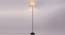 Jolie Zig Zag Iron Floor Lamp With Jute Conical Beige Shade (Beige) by Urban Ladder - Design 1 Side View - 738630
