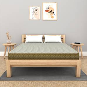 King Size Mattress In Junagadh Design Softopedic -  King Size Reversible Foam Mattress (King, 78 x 72 in (Standard) Mattress Size, 6 in Mattress Thickness (in Inches))