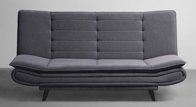 Smith 3 Seater Manual Sofa cum Bed in Grey (Ash Grey) by Urban Ladder - Front View Design 1 - 