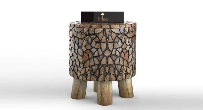 Round Shape Wooden Stool (Red Sal Wood) (Brown) by Urban Ladder - Front View Design 1 - 744020