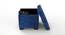 Eccentric Stool Cum End Table with Storage AFR4677 (Blue Finish) by Urban Ladder - Ground View Design 1 - 744065