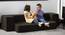 Fabric Sofa cum Bed- Brown (Brown) by Urban Ladder - Rear View Design 1 - 744335