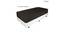 Fabric Sofa cum Bed- Brown (Brown) by Urban Ladder - Design 1 Close View - 744359