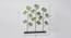 F-Tmanuka Table Decor (Multicolor) by Urban Ladder - Design 1 Dimension - 746767