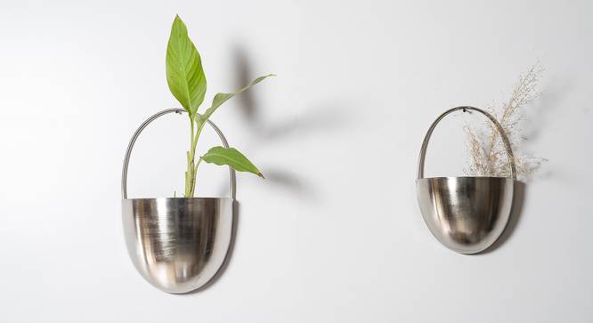 U-Saira Nickel Wall Planter Set Of 2 (Multicolor) by Urban Ladder - Front View Design 1 - 746805