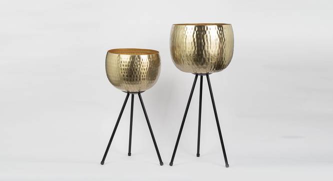 U-Takh Hammered Gold Planter Set Of 2 (Multicolor) by Urban Ladder - Front View Design 1 - 746806