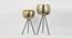 U-Takh Hammered Gold Planter Set Of 2 (Multicolor) by Urban Ladder - Front View Design 1 - 746806