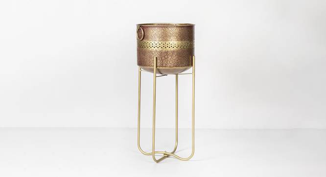 U-Glory Planter (Multicolor) by Urban Ladder - Front View Design 1 - 746812